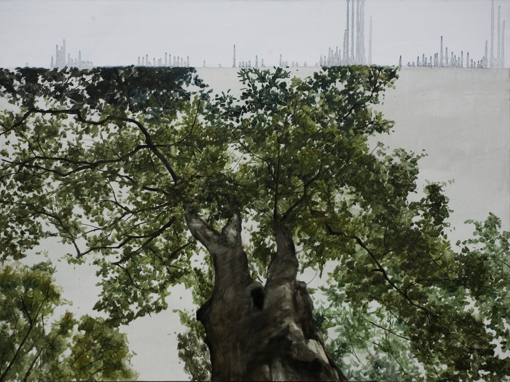 A tree 02
