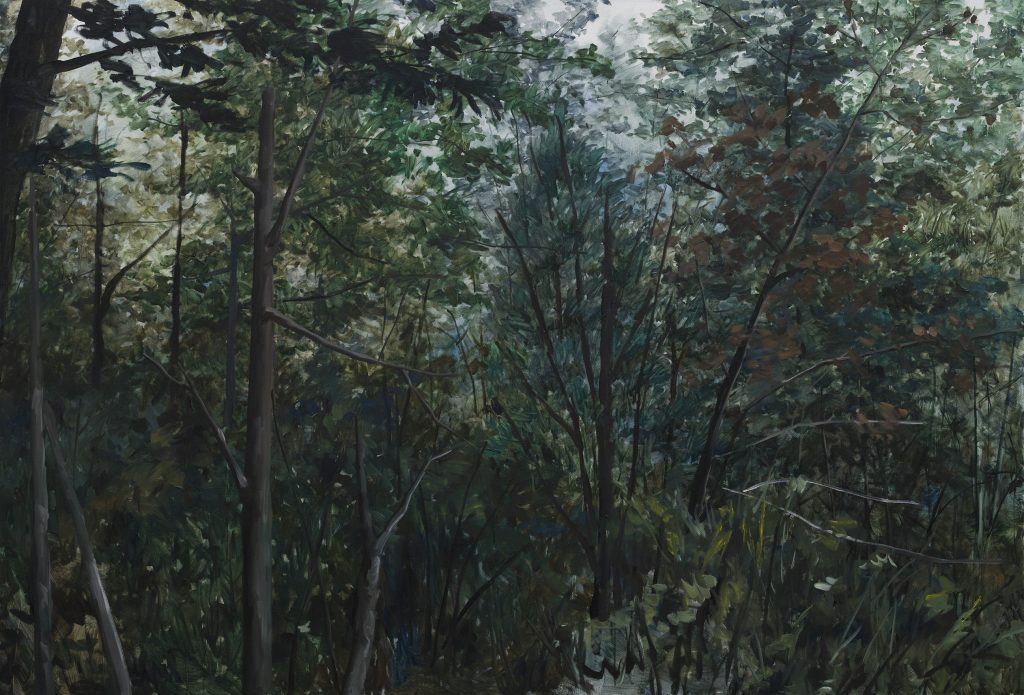 Deep in the Forest
