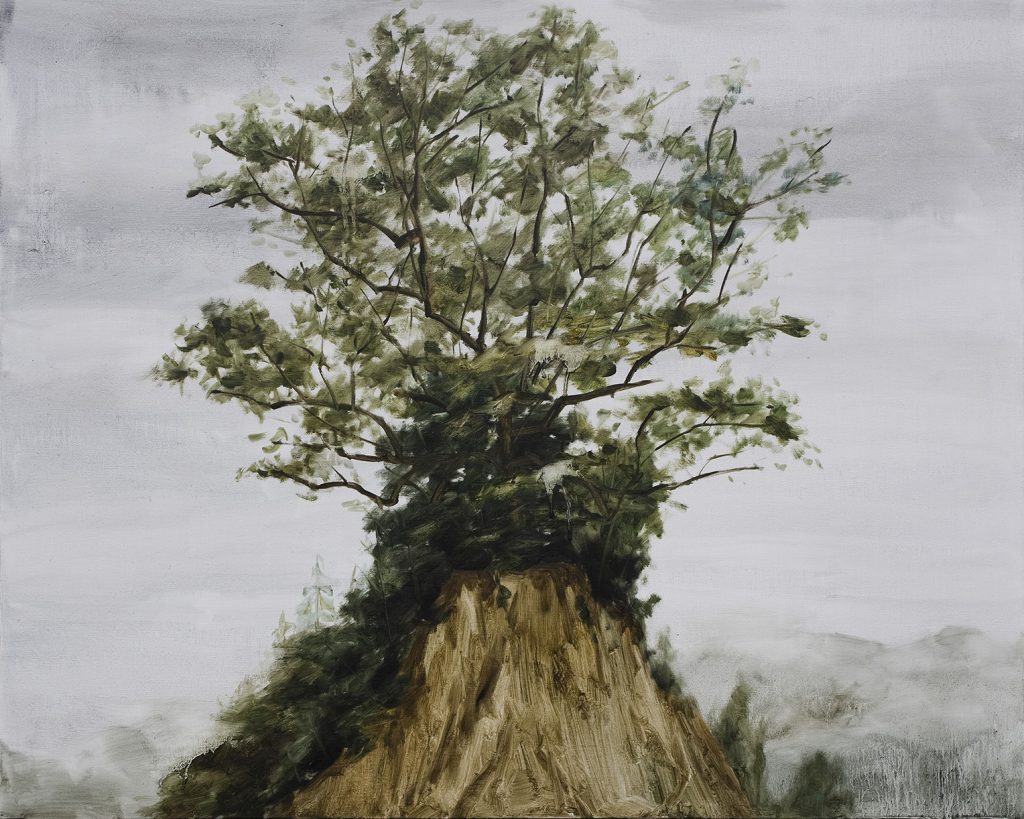 Tree on Xiaogang Mountain
