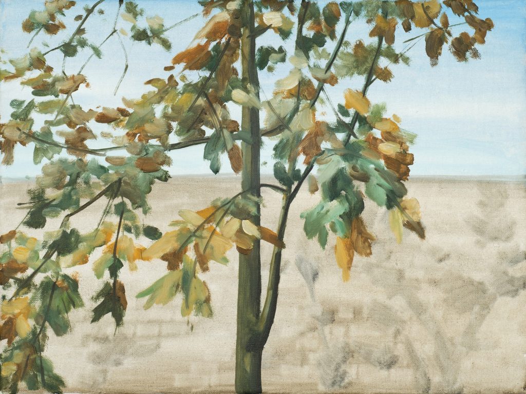 Small Scenery