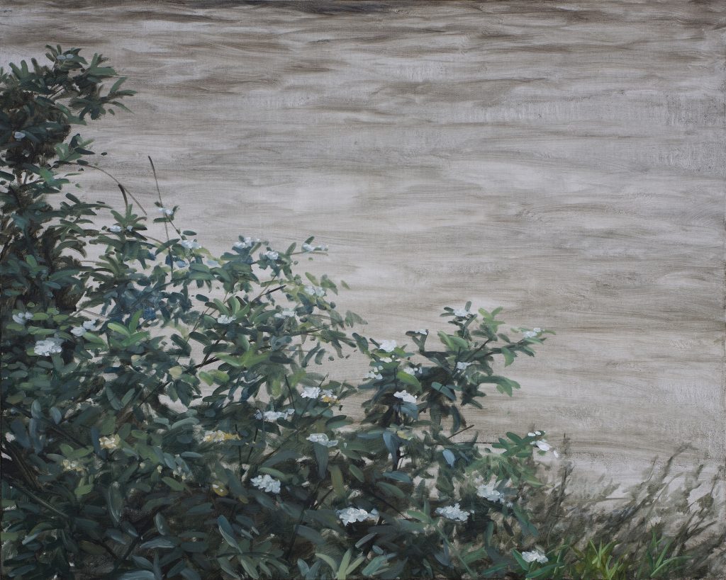 By the spring water‘s edge 01