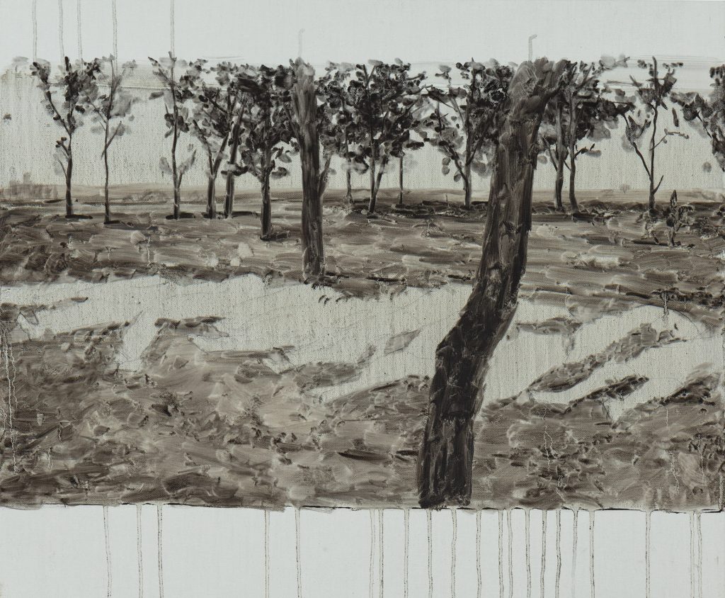A Clearing in the Woods 01