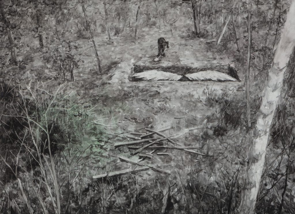 A Clearing in the Woods 02