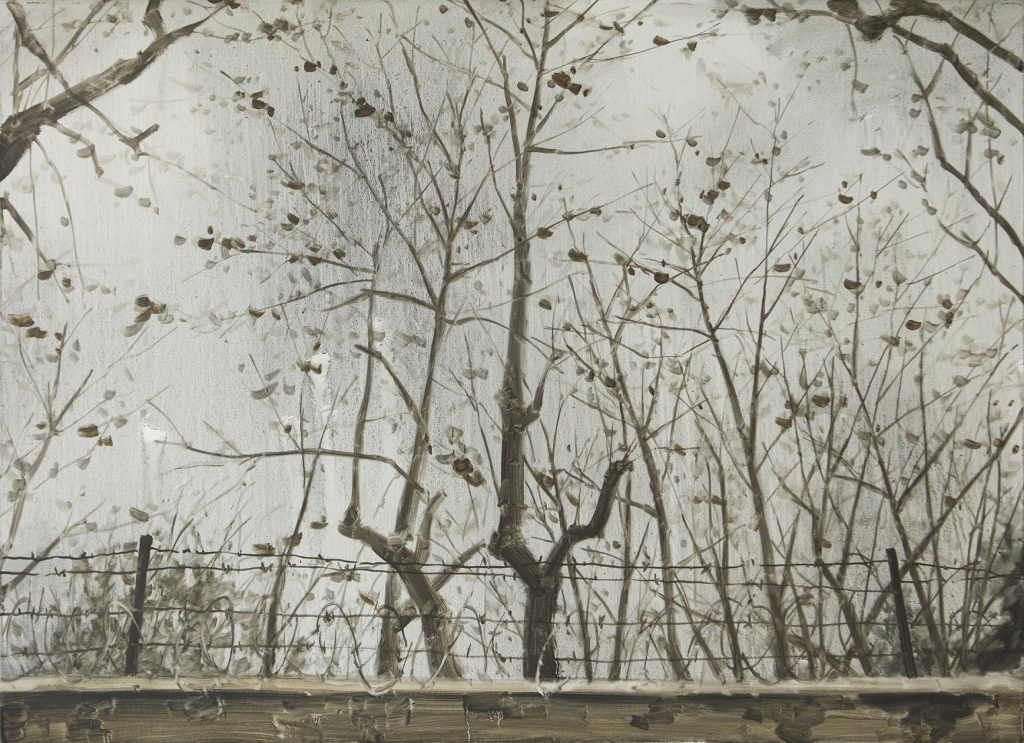 Lost Landscape-Outside the Wall