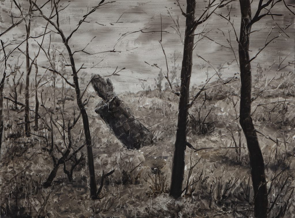 Lost Landscape 022