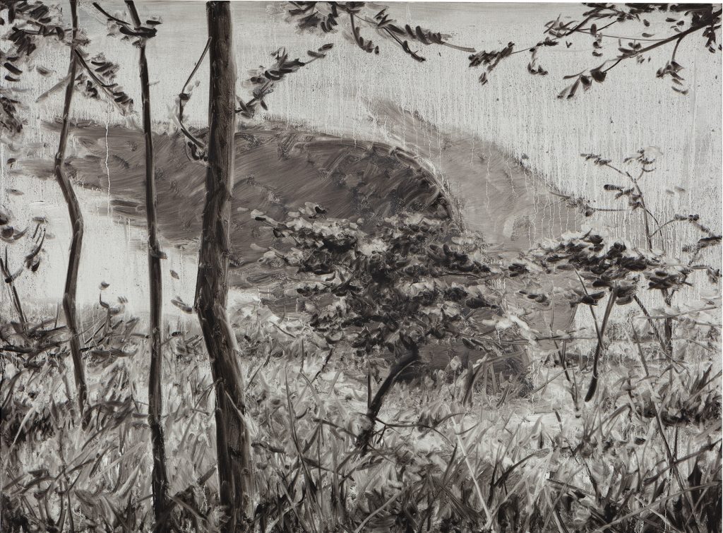 Lost Landscape 029