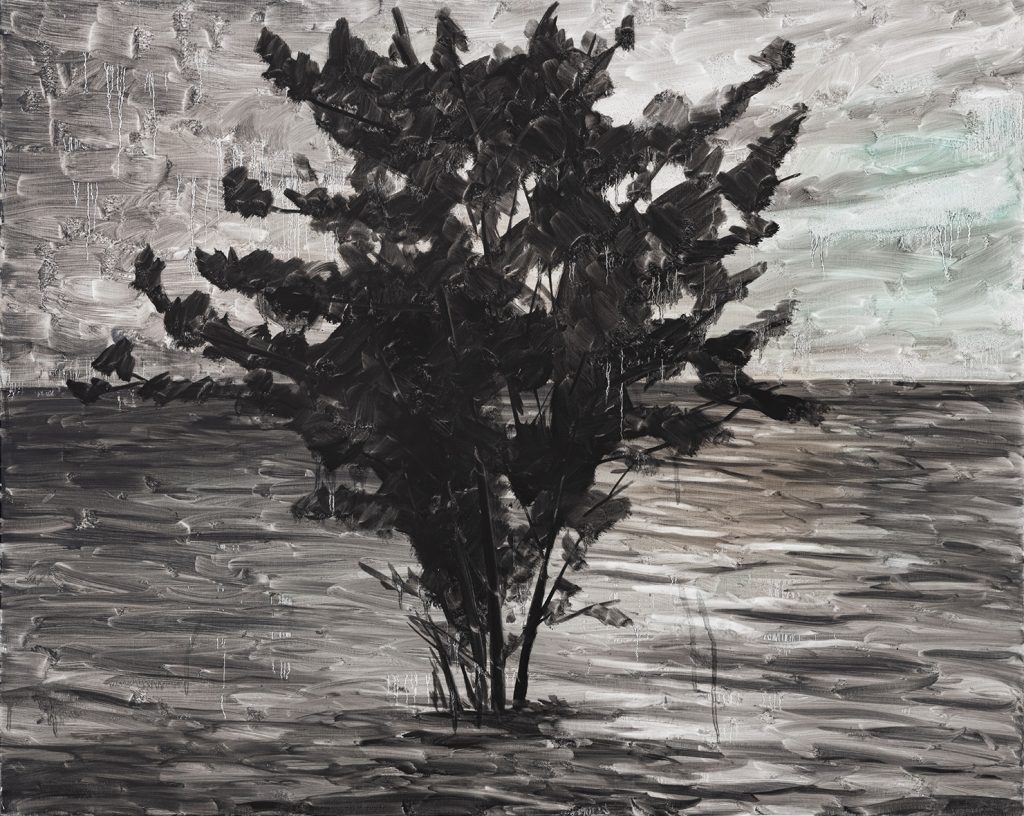 Lost Landscape 047