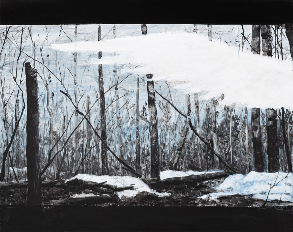 Lost Landscape 049