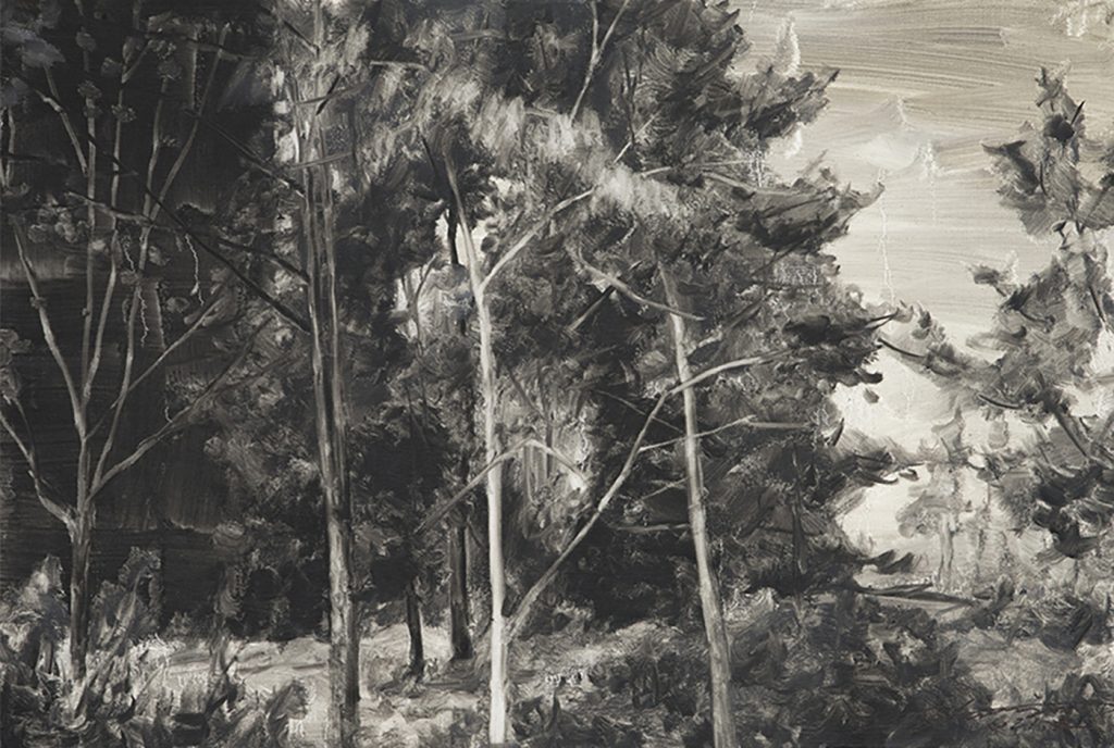 Lost Landscape 052