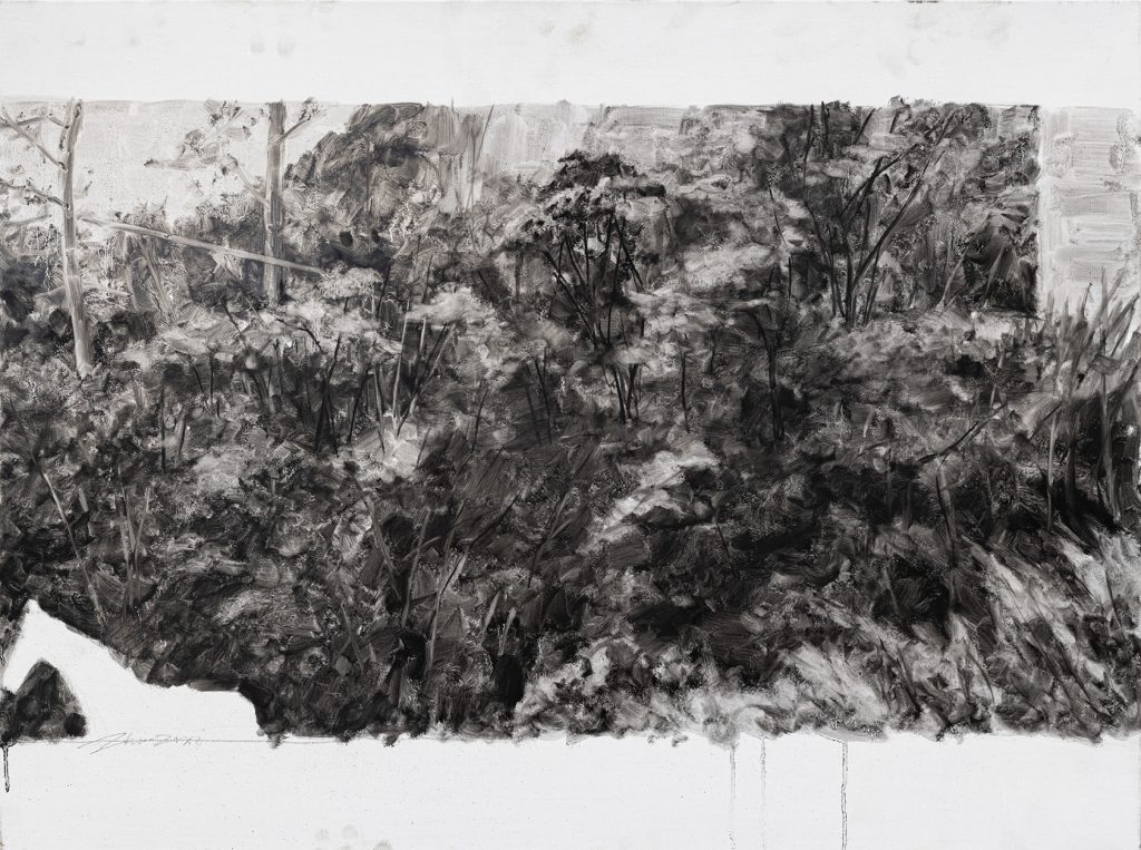 Lost Landscape 053