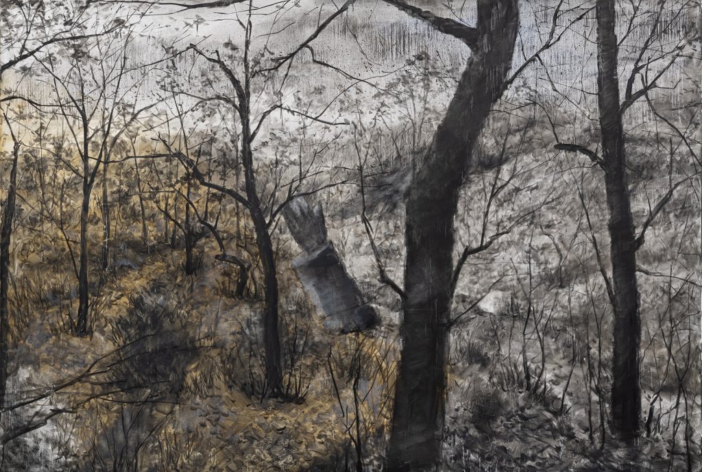Lost Landscape 056