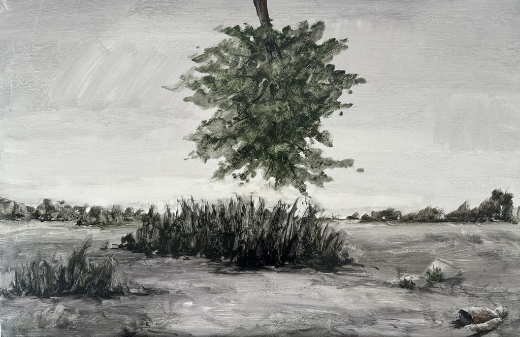 Lost Landscape 062