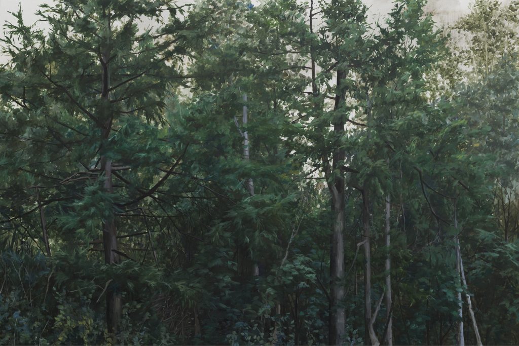 That forest, so beautiful