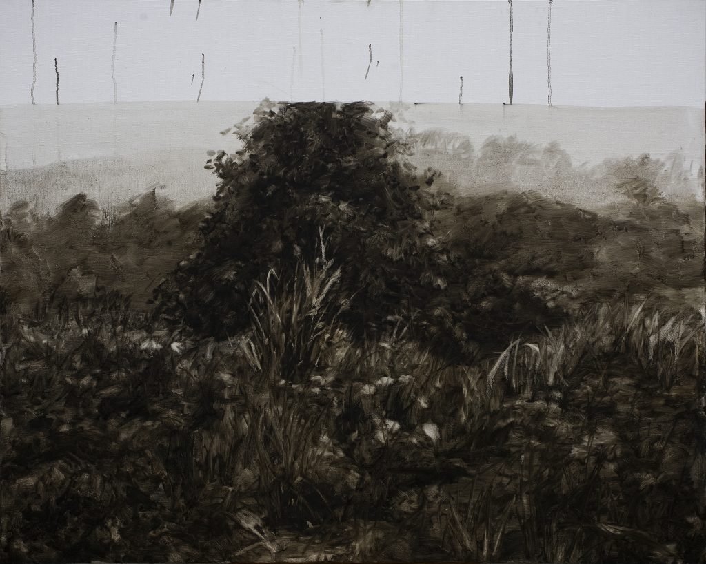 Black Landscape 02