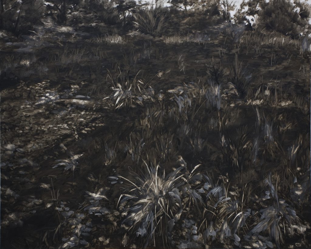 Black Landscape 03